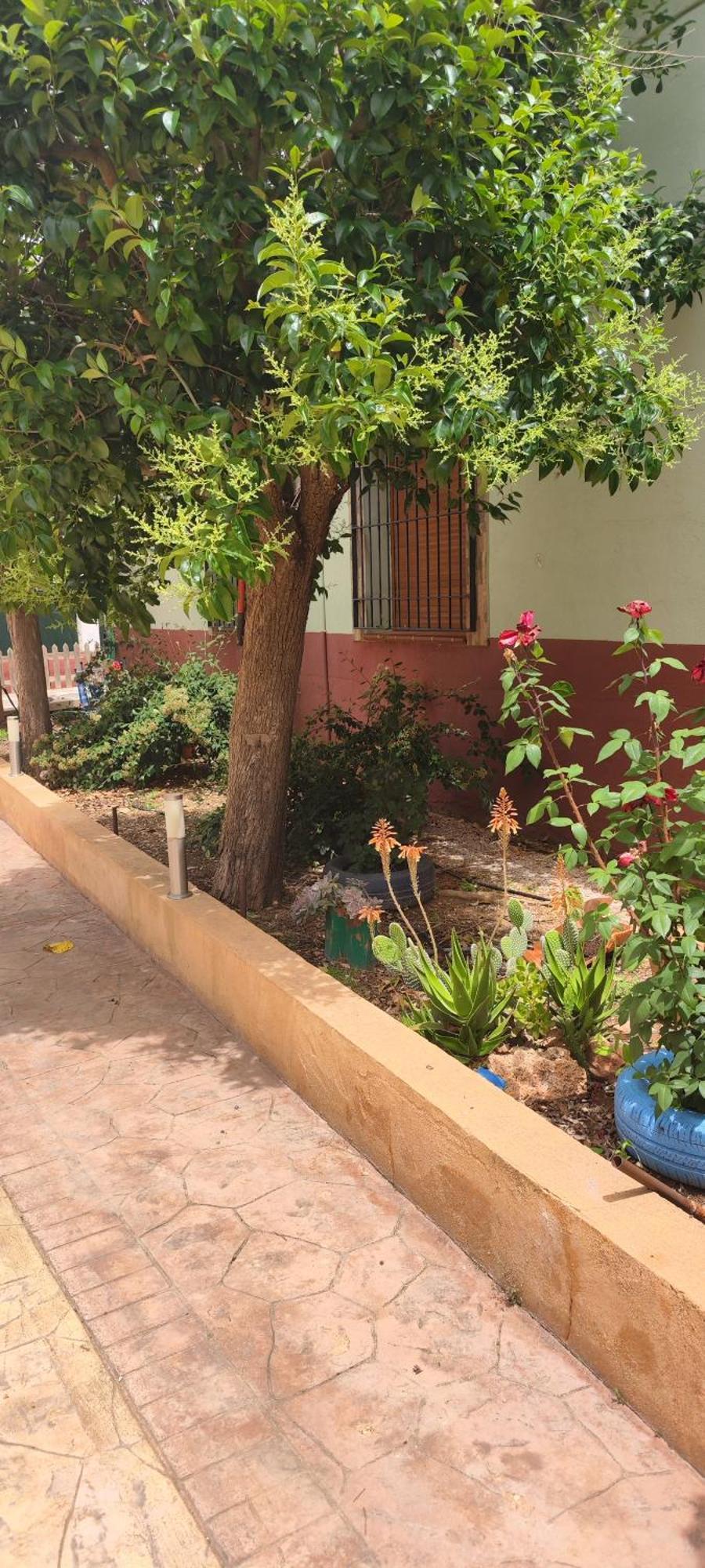 Casa Rural El Tejar San Clemente  Exterior foto